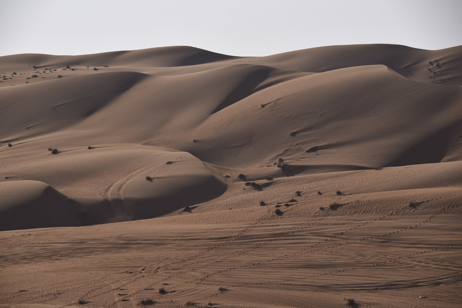 Spuren in der Wüste - Wahiba Sands, Oman