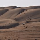 Spuren in der Wüste - Wahiba Sands, Oman