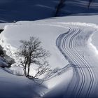 Spuren in einer Winterlandschaft