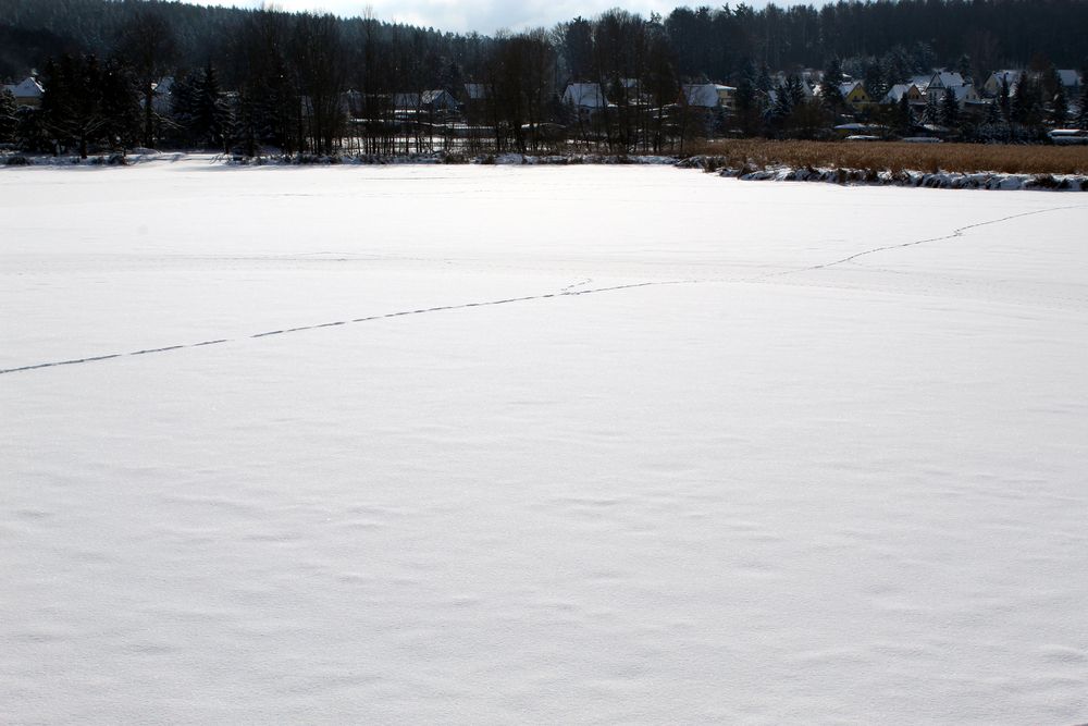 Spuren quer über den abgelassenen See