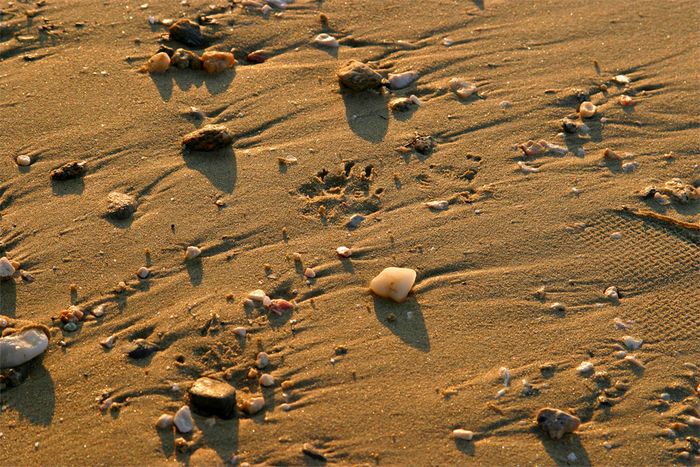 Spuren, Sand und Steine