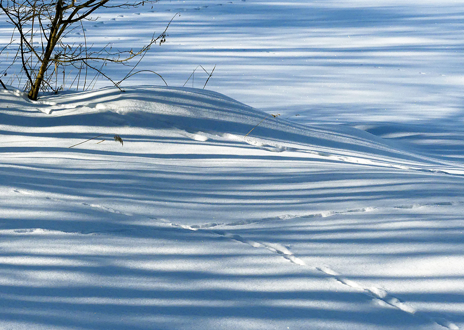 Spuren und Schatten 