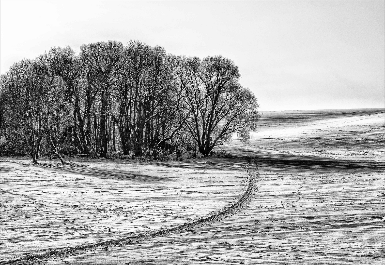 Spuren und Schatten im Schnee