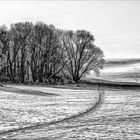 Spuren und Schatten im Schnee