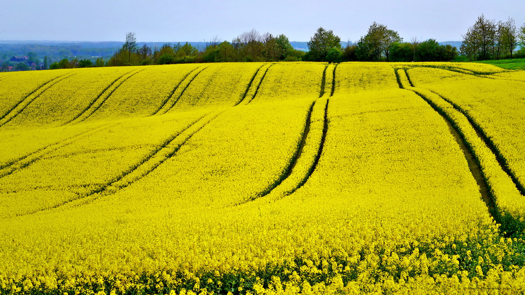 Spuren und Wellen