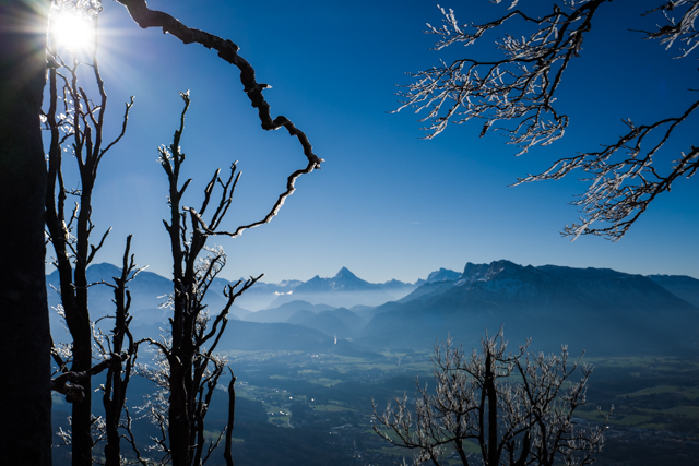 Spuren vom ersten Frost