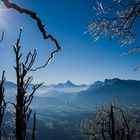 Spuren vom ersten Frost