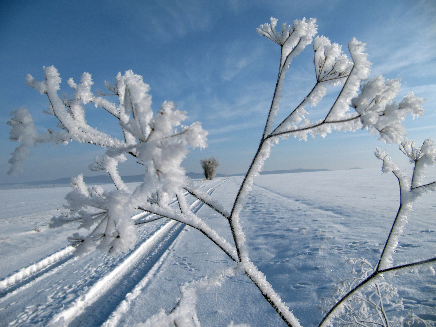 Spuren vom Frost...