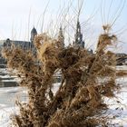 Spuren vom Winterhochwasser 2012