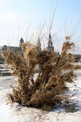 Spuren vom Winterhochwasser 2012