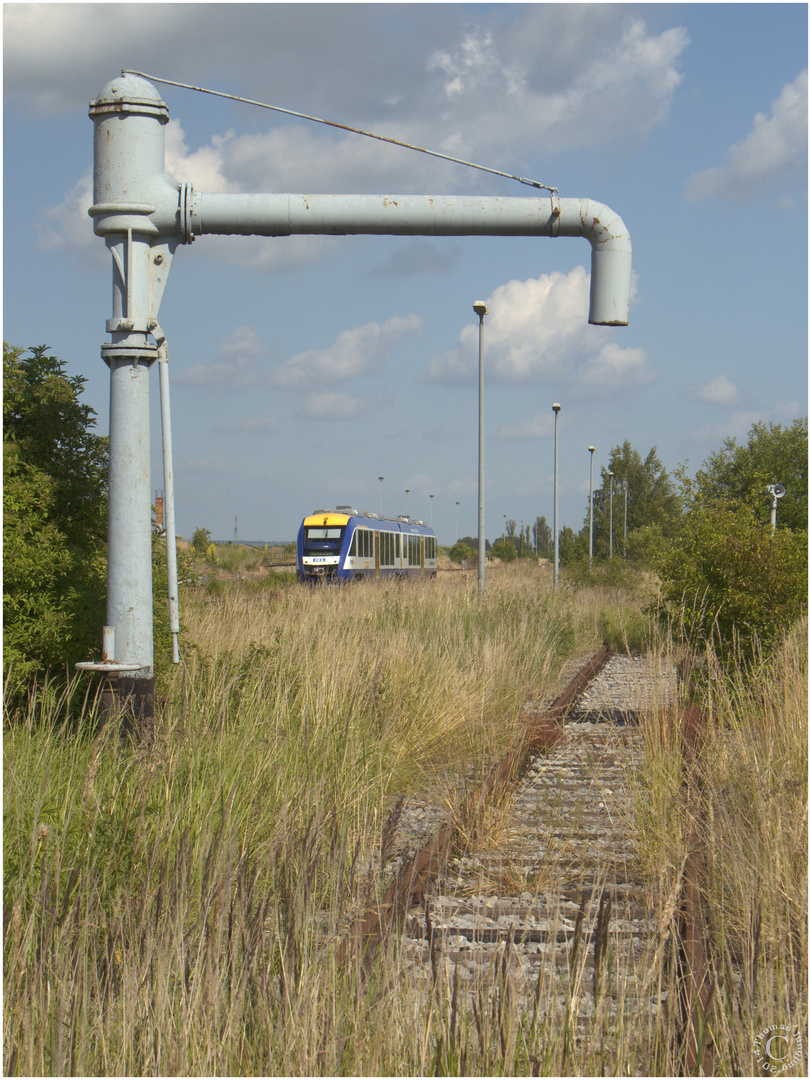 Spuren von Dampflokomotiven...