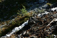 Spuren von Hochwasser