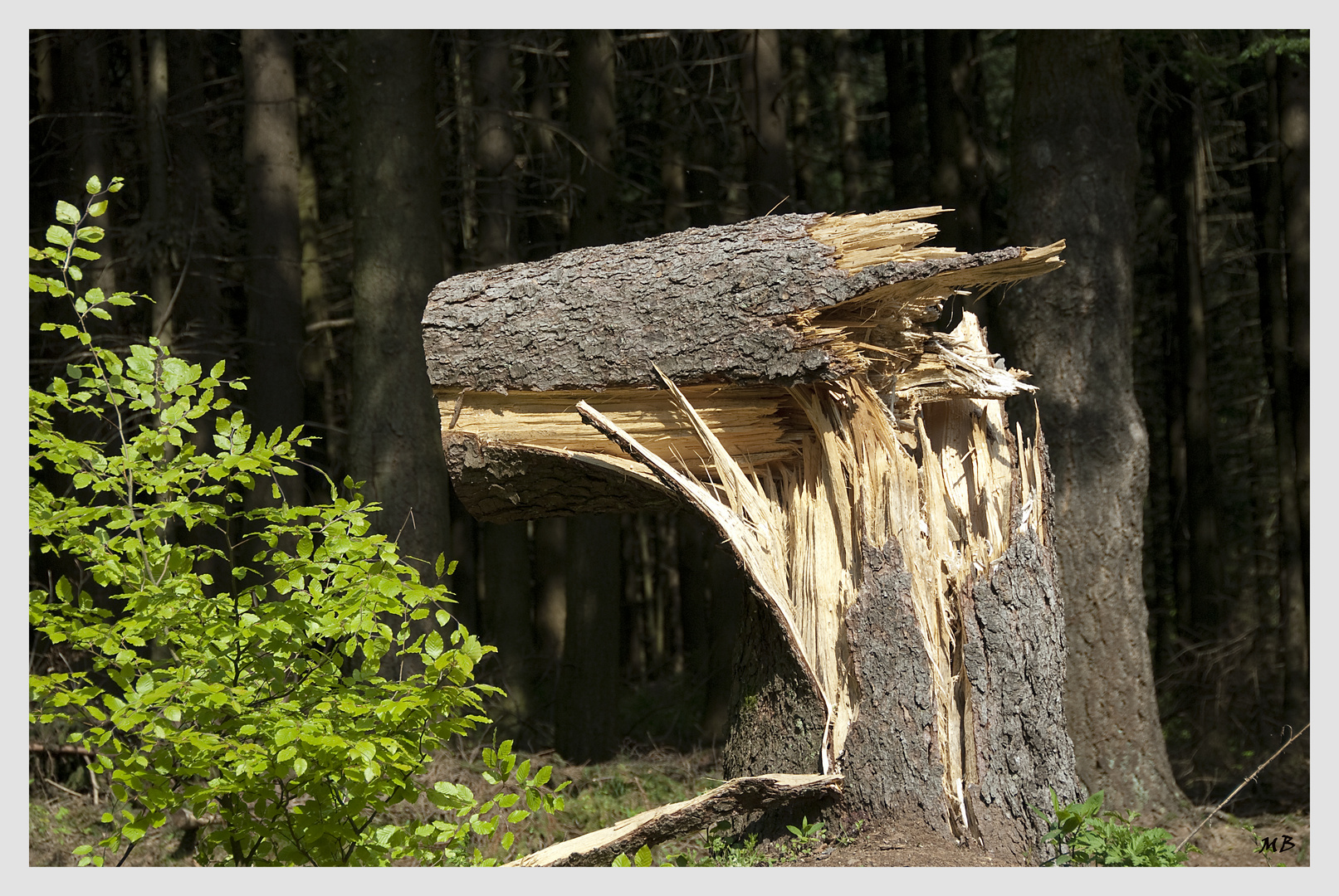 Spuren von Naturgewalten...