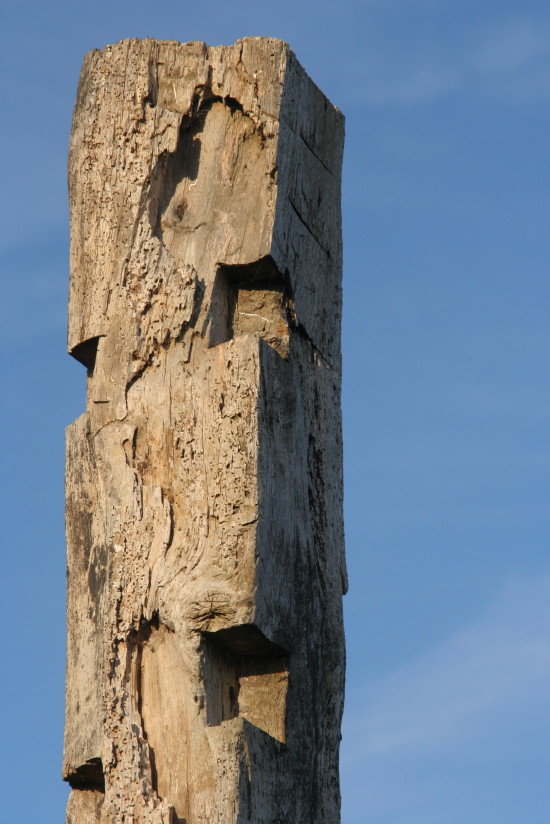 Spuren von Wind Mensch Wurm