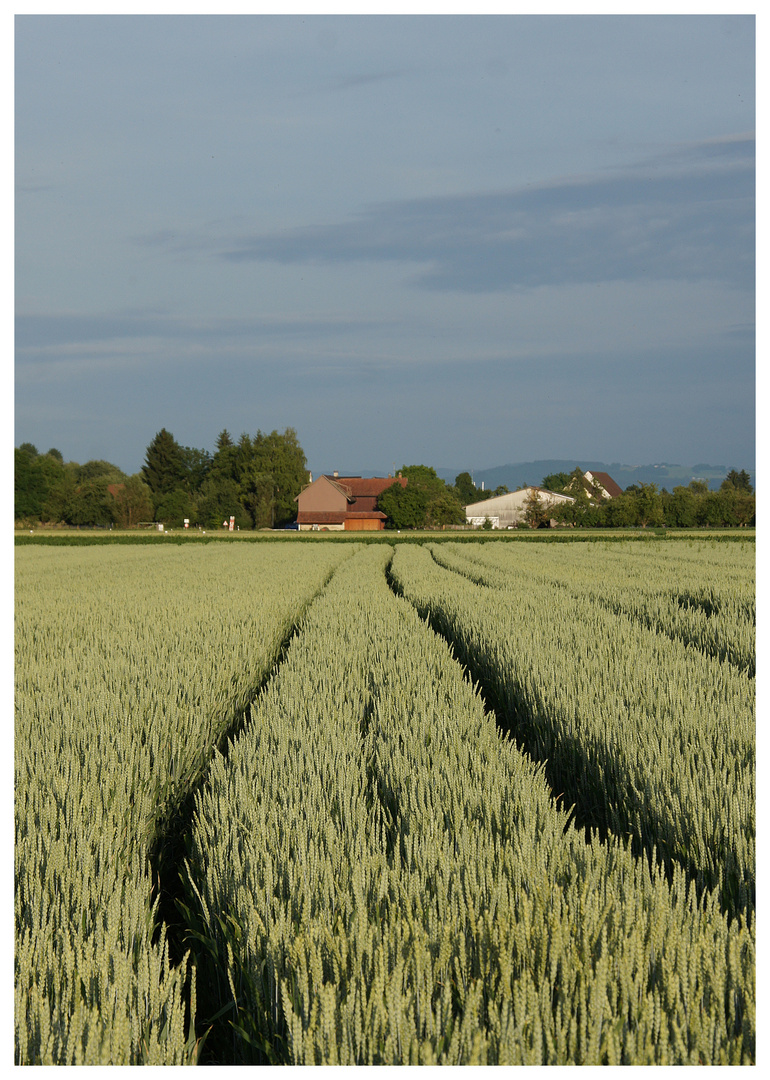 Spuren zum Dorf