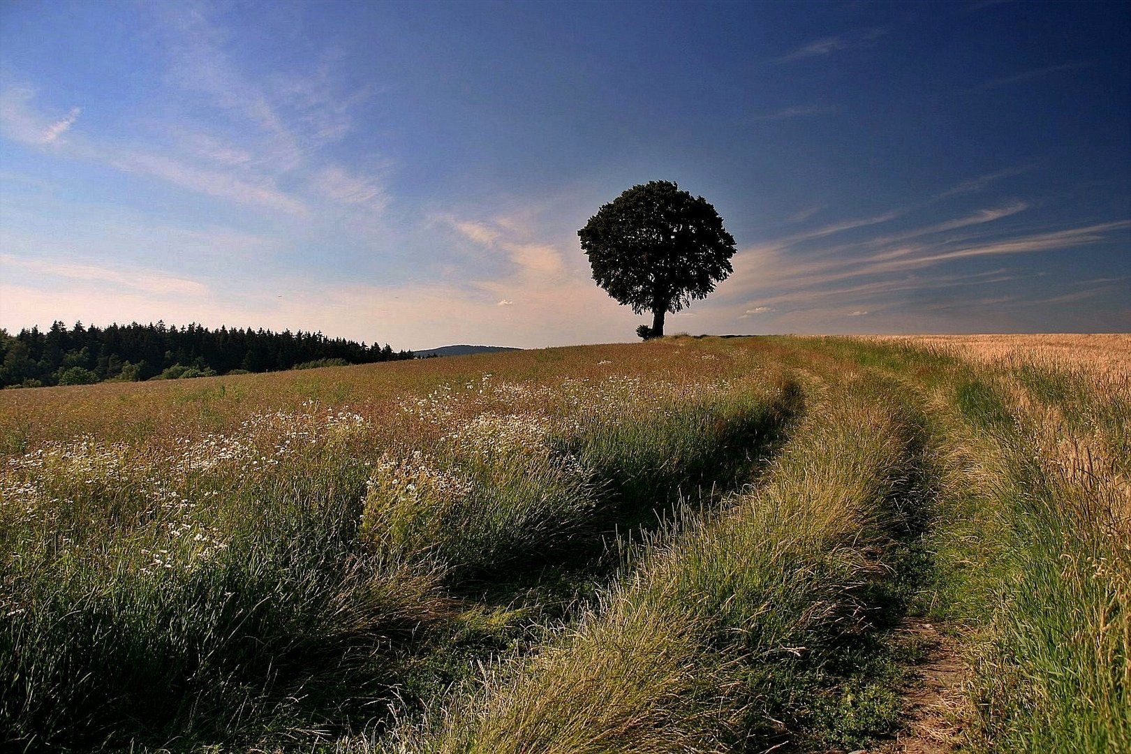 Spuren zum Horizont