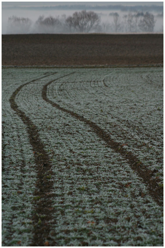 Spuren zum Horizont