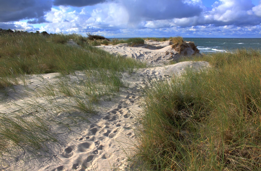 Spuren zum Strand