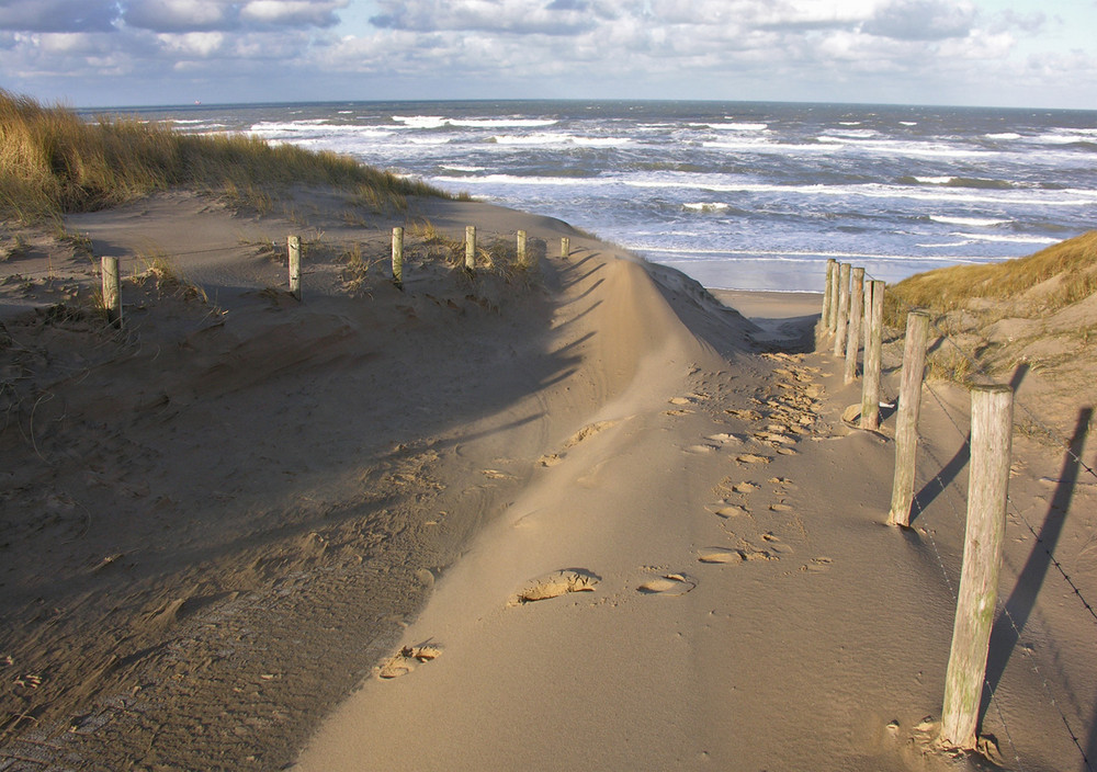 Spuren zum Strand