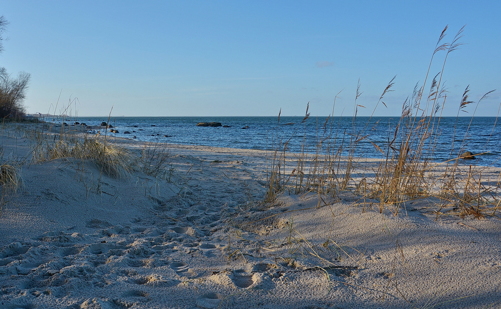 Spuren zum Strand von Lubmin