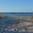 Spuren zum Strand von Lubmin