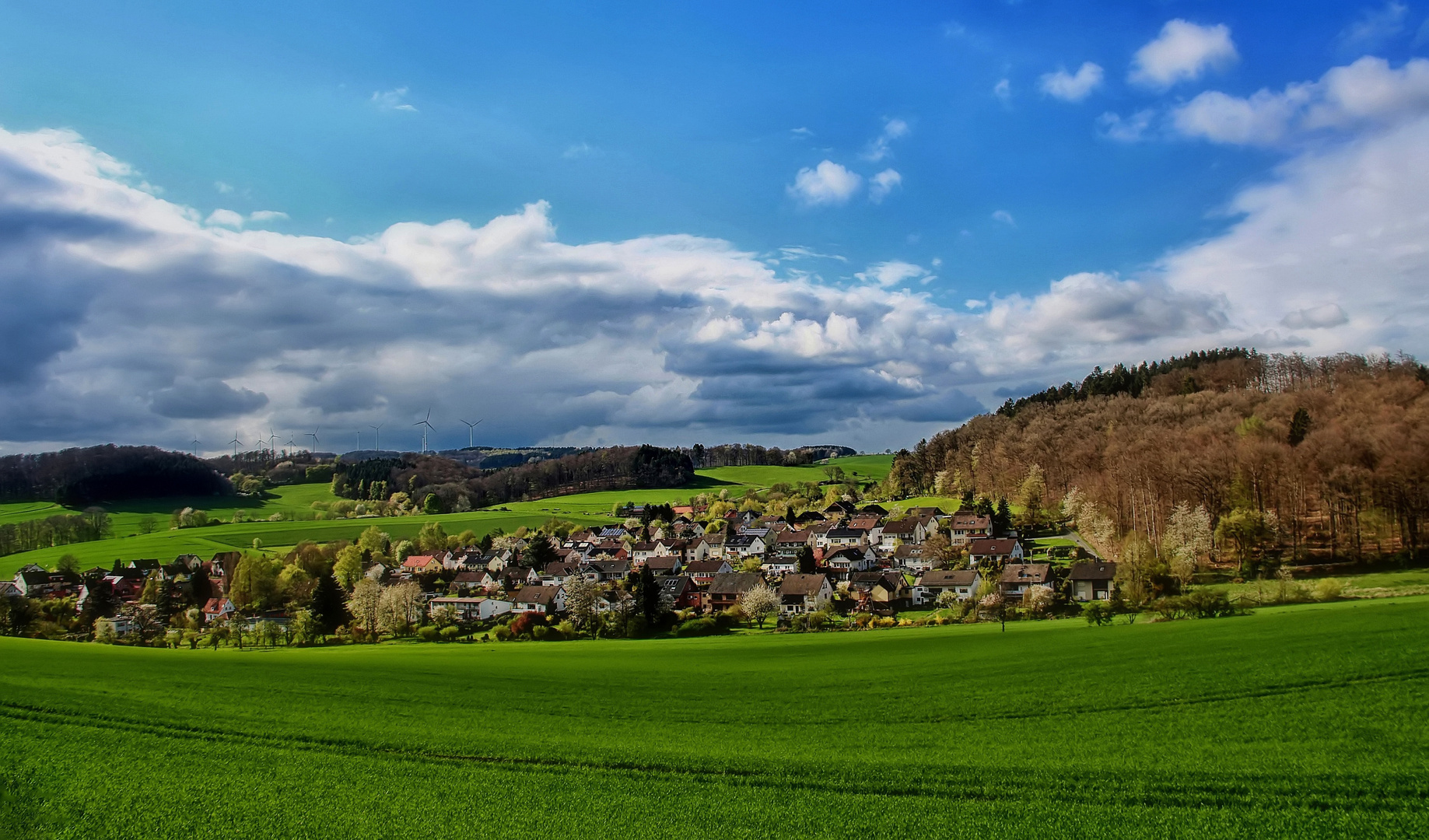 Spurensuche im Lipperland