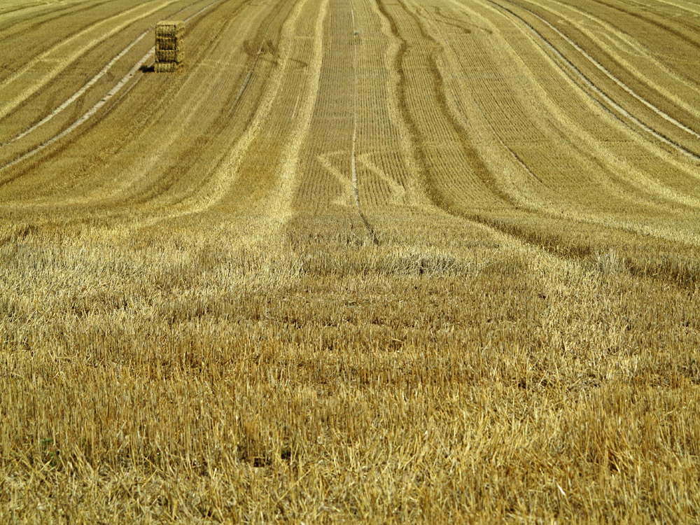 Spurensuche in Gelb