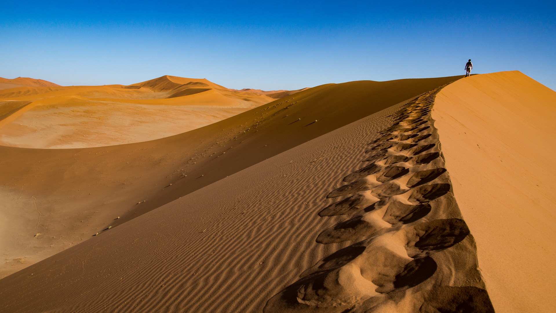 Spurensuche, Sossusvlei, Namibia