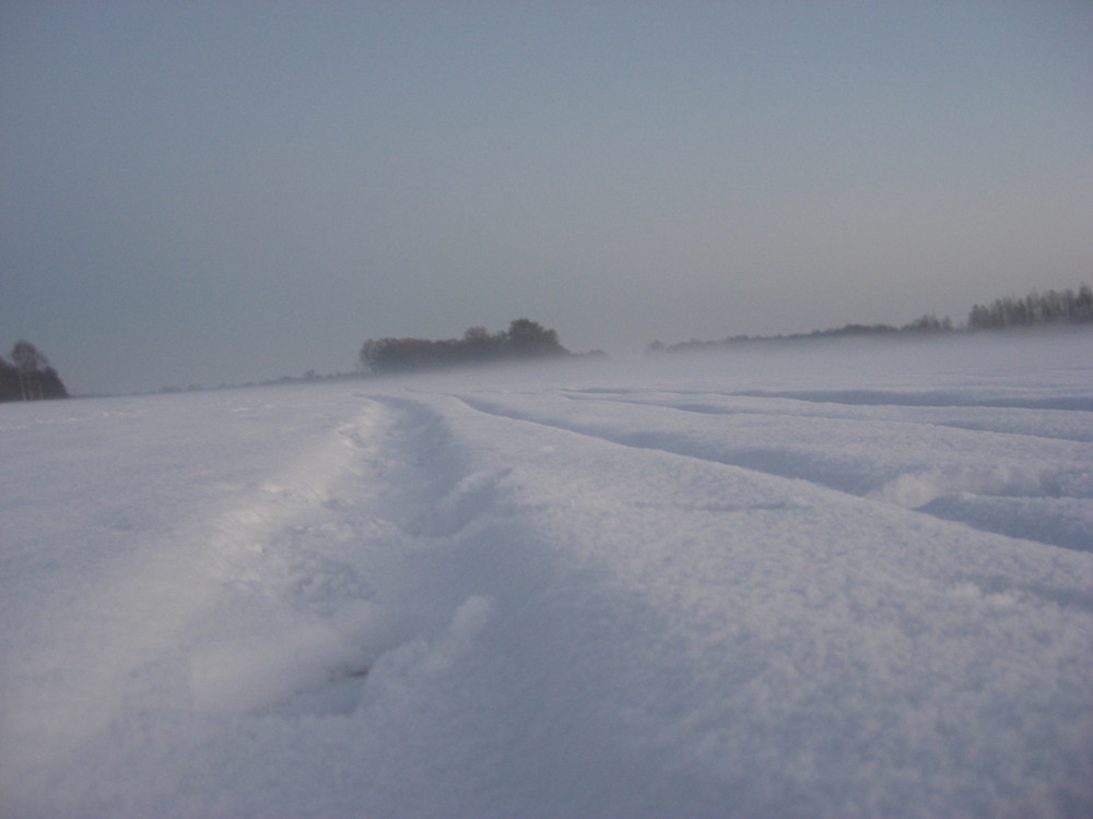 Spurn im Schnee !!!