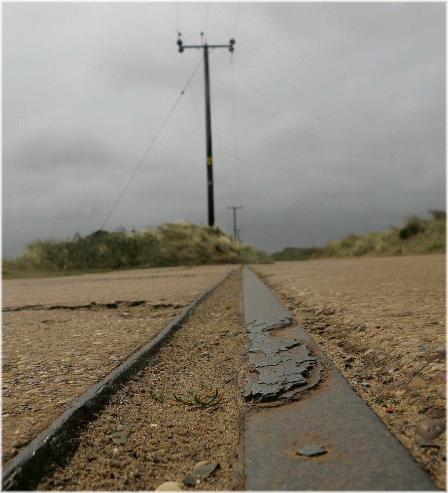 * spurn national nature reserve II *