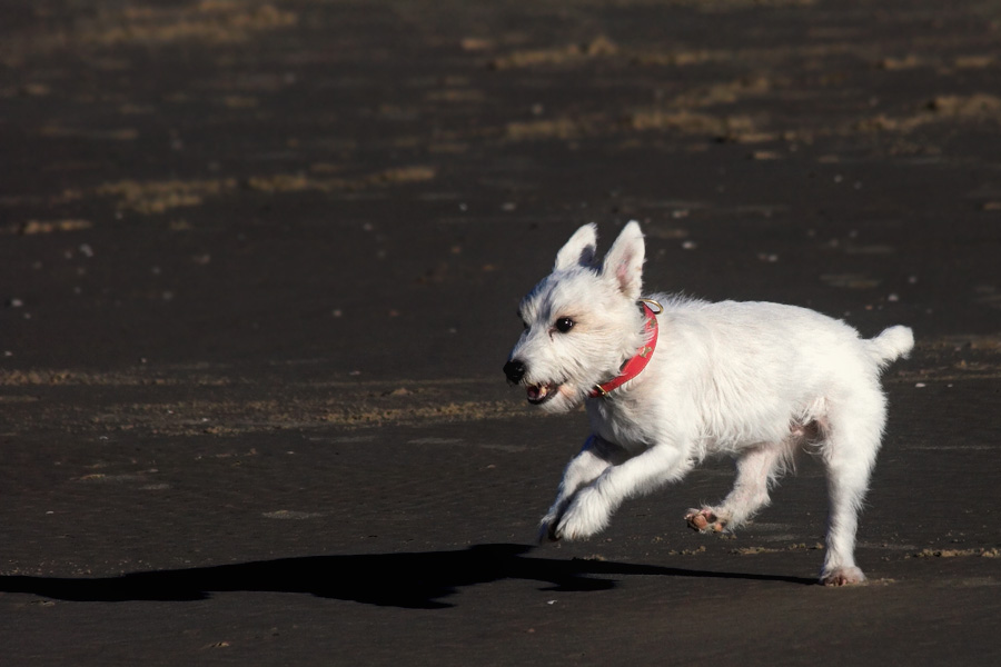 Spurt am Strand