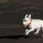 Spurt am Strand