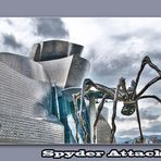 Spyder Attack !