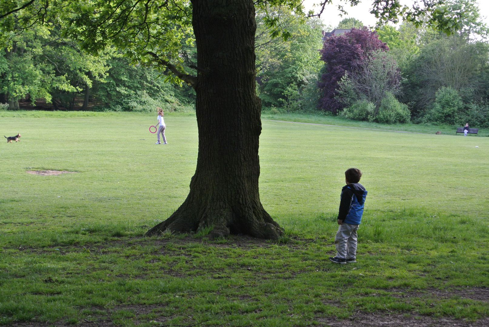 Spying on a girl with a dog