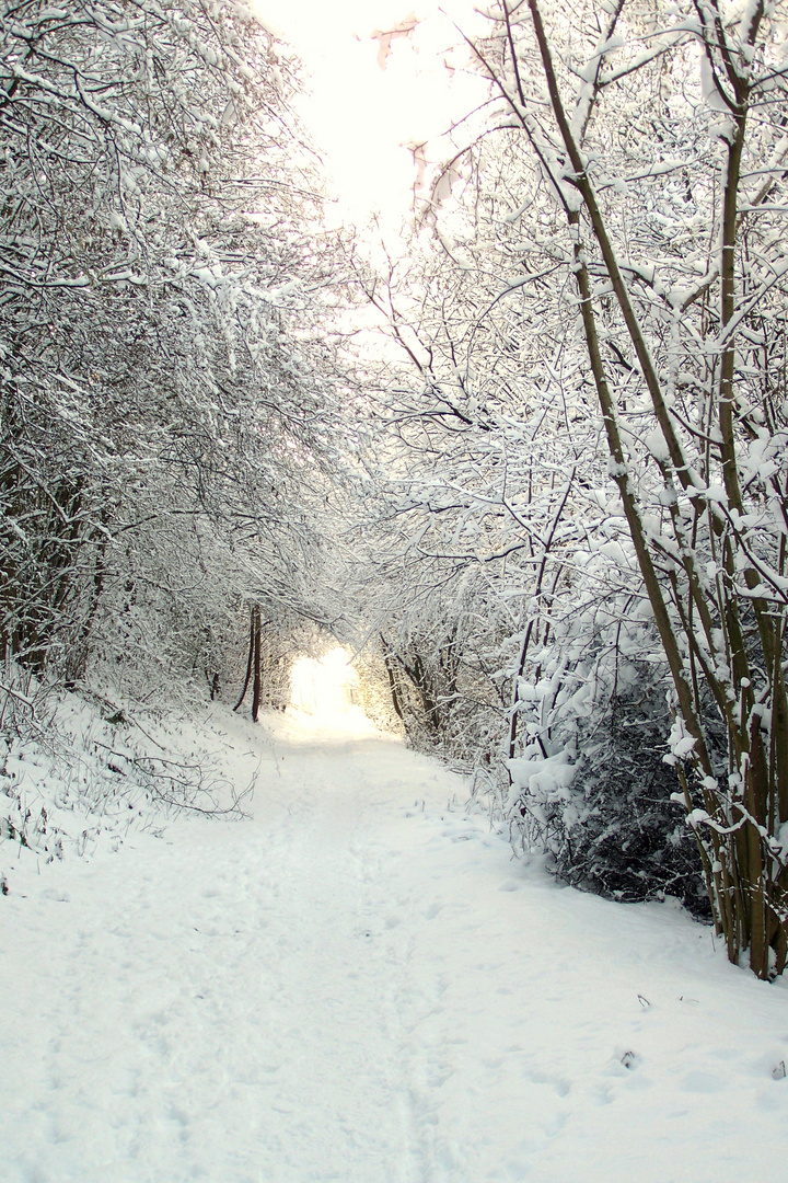 Spziergang duch den Schnee!