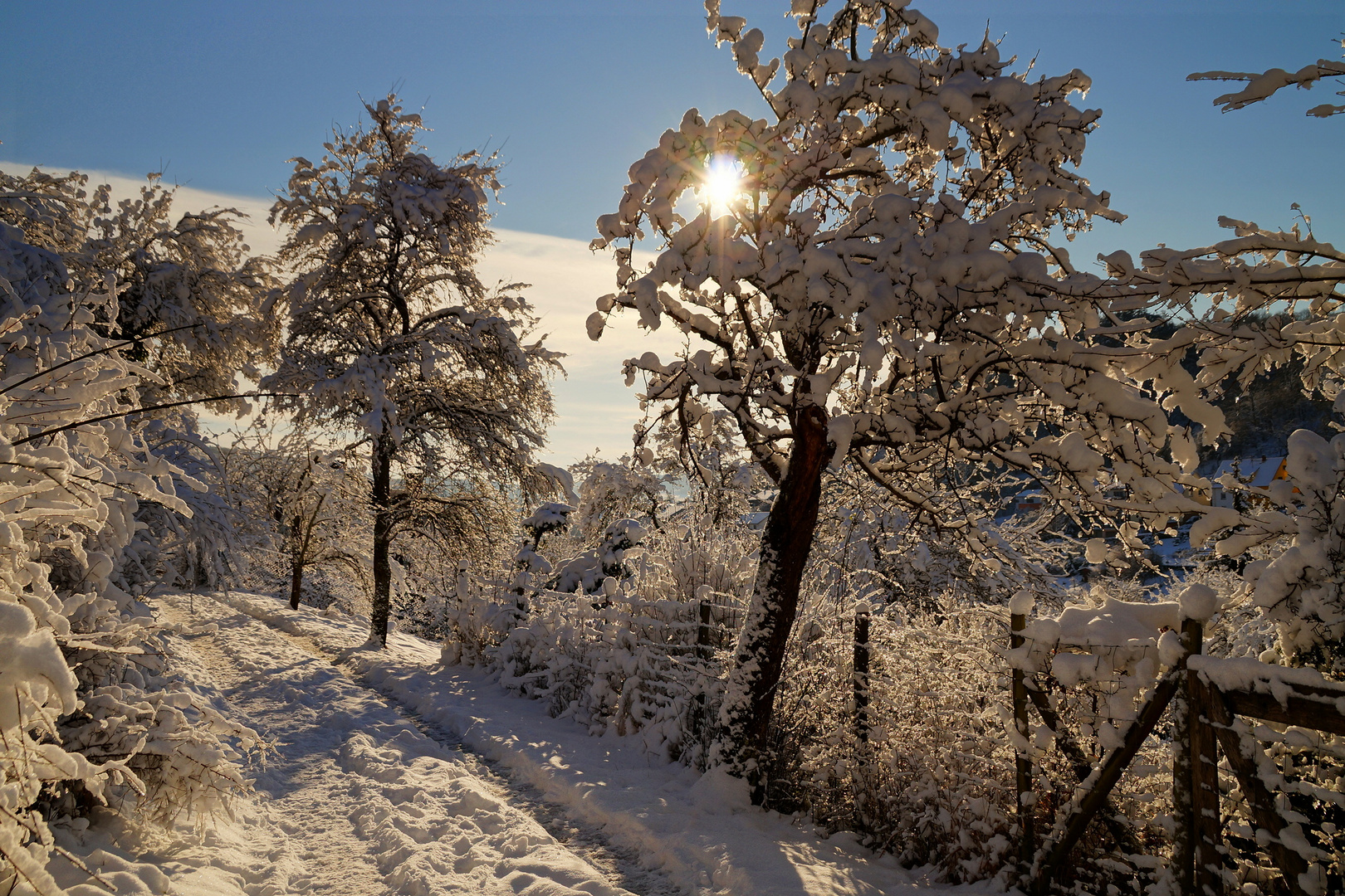 Spziergang im Schnee