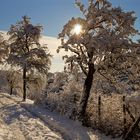 Spziergang im Schnee