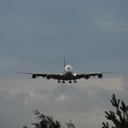 SQ26 - A380 - AUG 2014 - Landeanflug in FFM - mit Seitenwind