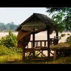 Squatter shelter, Muang Khammuan