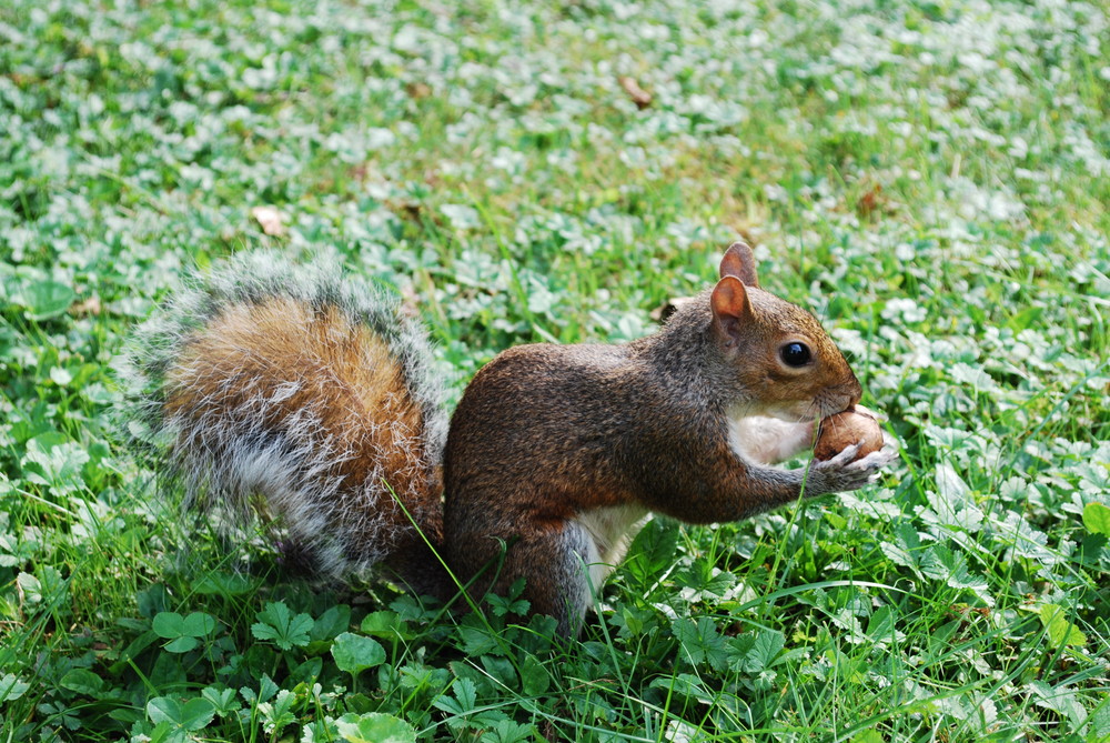 Squiral---Milano---Italy---2009