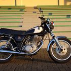 SR 500: Die Knochenbrecherin