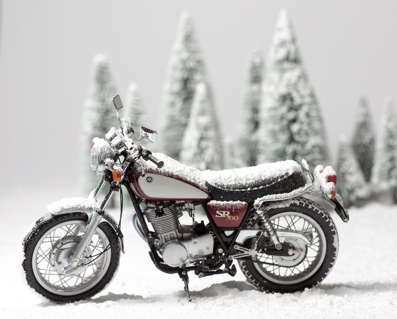 SR 500 im Winter