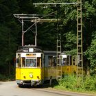 Sraßenbahn im Kirnitzschtal