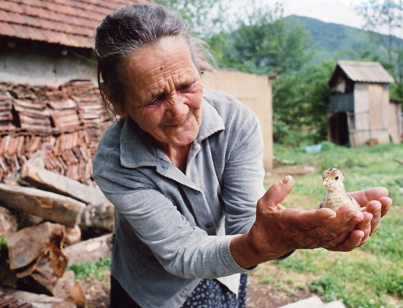 Srebrenica