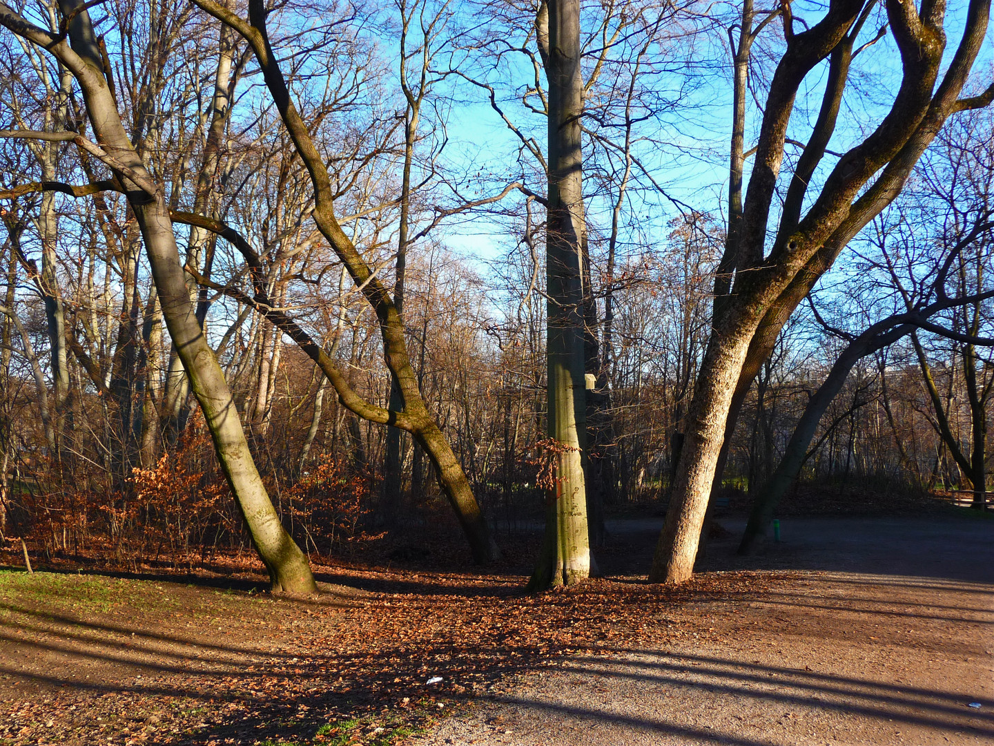 Sreifen durch den Park