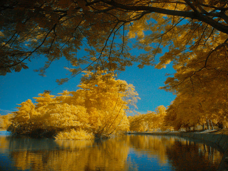 Srengseng Lake