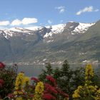 Sørfjord bei Odda