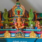 Sri Kamadchi Ampal Tempel Hamm-Uentrop (19)