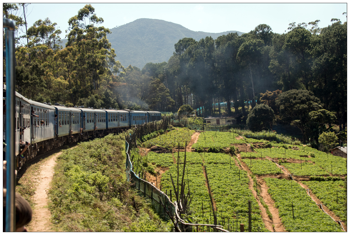 Sri Lanka # 14