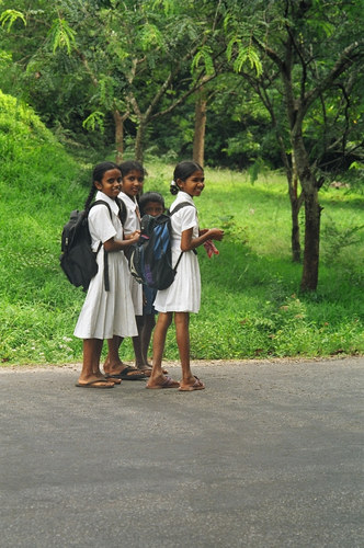 Sri Lanka 2004 / auf dem Weg zur Schule ...